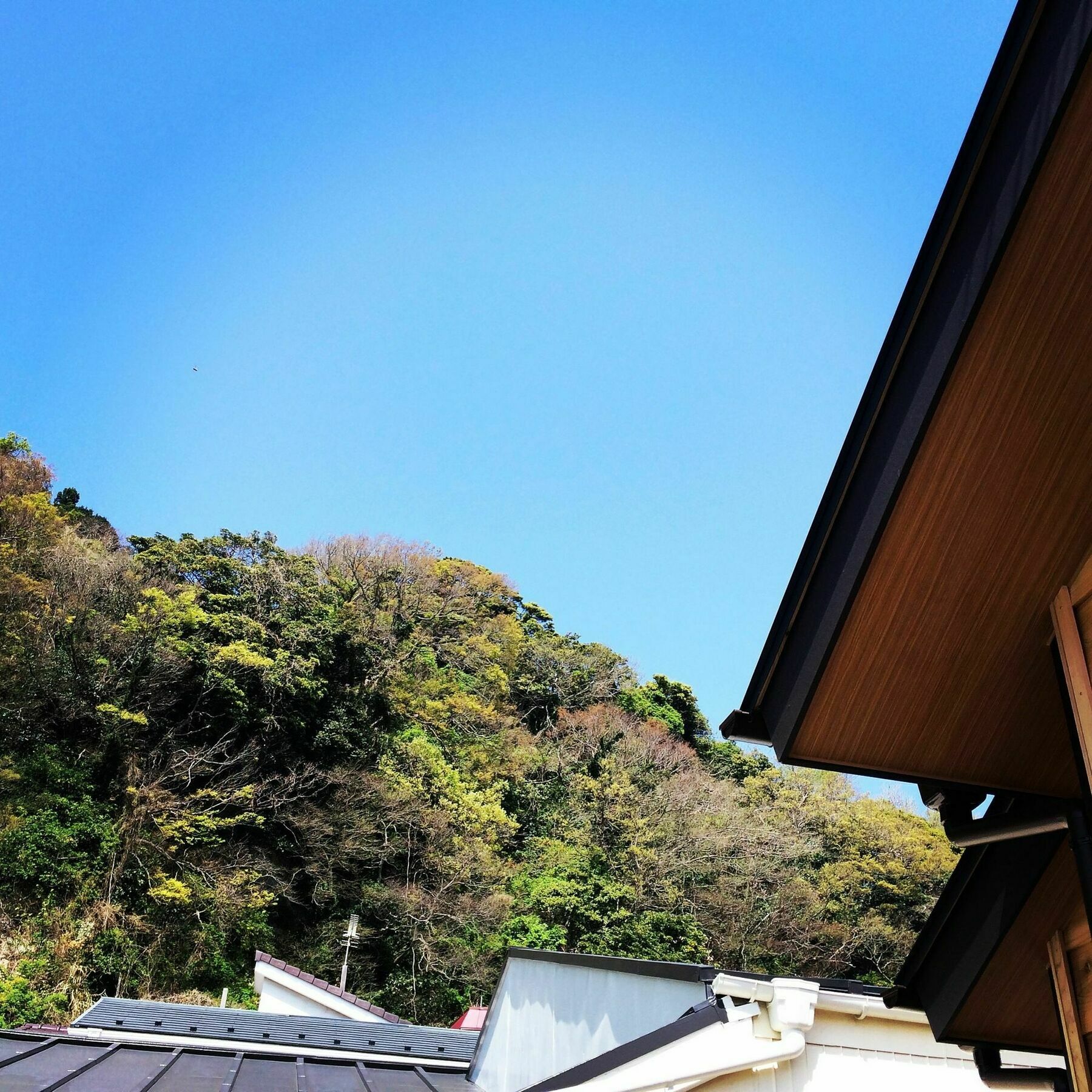 Guest House Kamakura Zen-Ji Esterno foto
