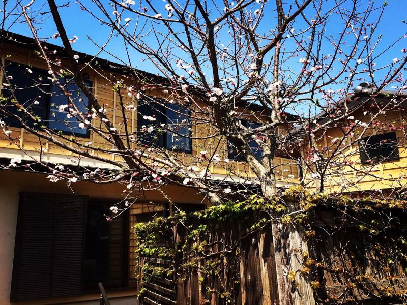 Guest House Kamakura Zen-Ji Esterno foto